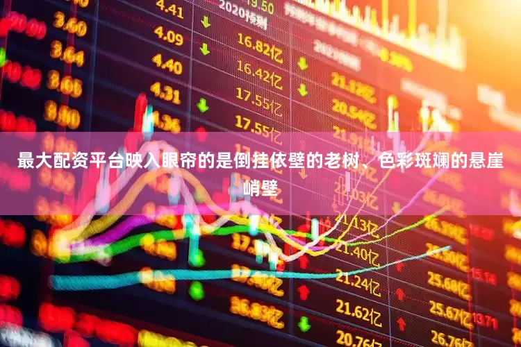 最大配资平台映入眼帘的是倒挂依壁的老树、色彩斑斓的悬崖峭壁